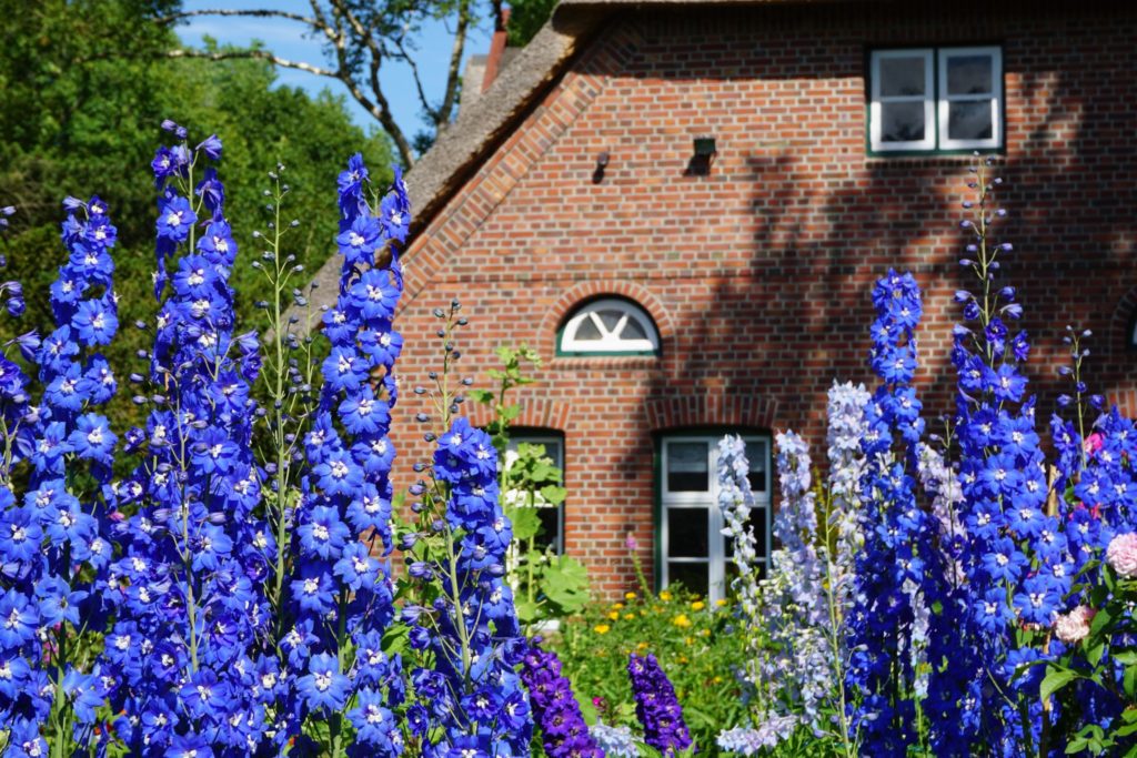 Der Bauerngarten im Arboretum Ellerhoop