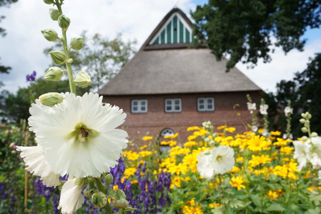 Der Bauerngarten im Arboretum Ellerhoop