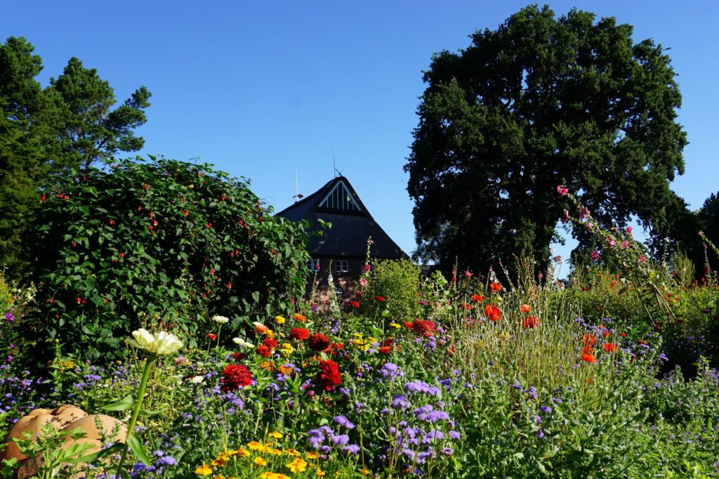 Der Bauerngarten im Arboretum Ellerhoop