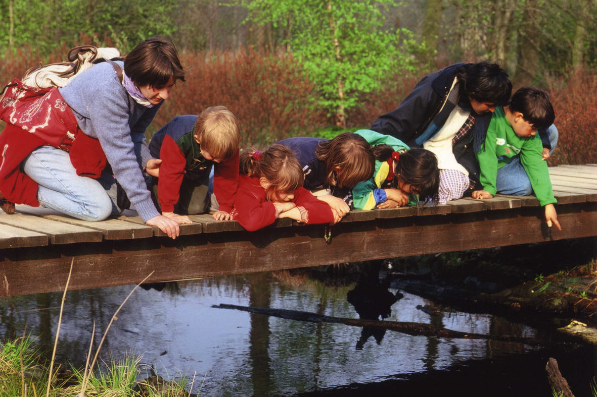 Kinder Am Moorteich