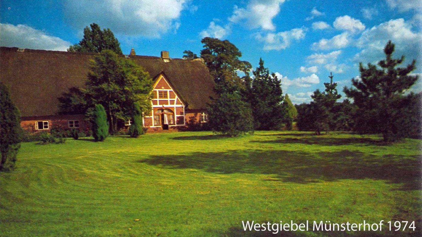 Westgiebel Münsterhof 1974